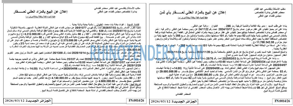 الجزائر الجديدة