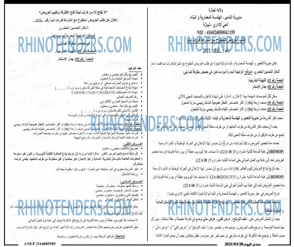 صدى اليوم