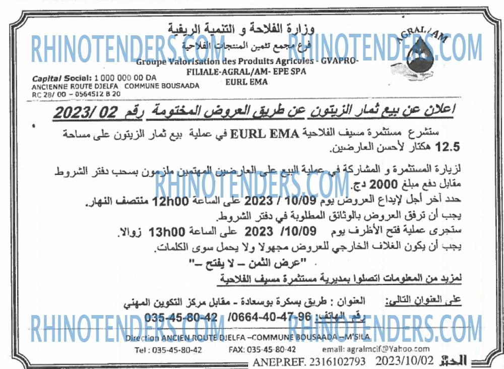 EL KHABAR