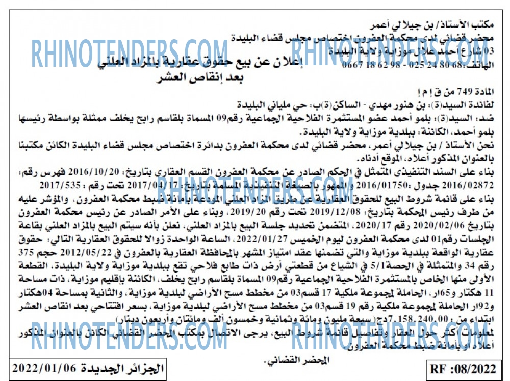 الجزائر الجديدة