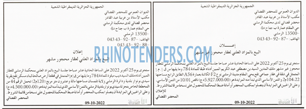 الأمة