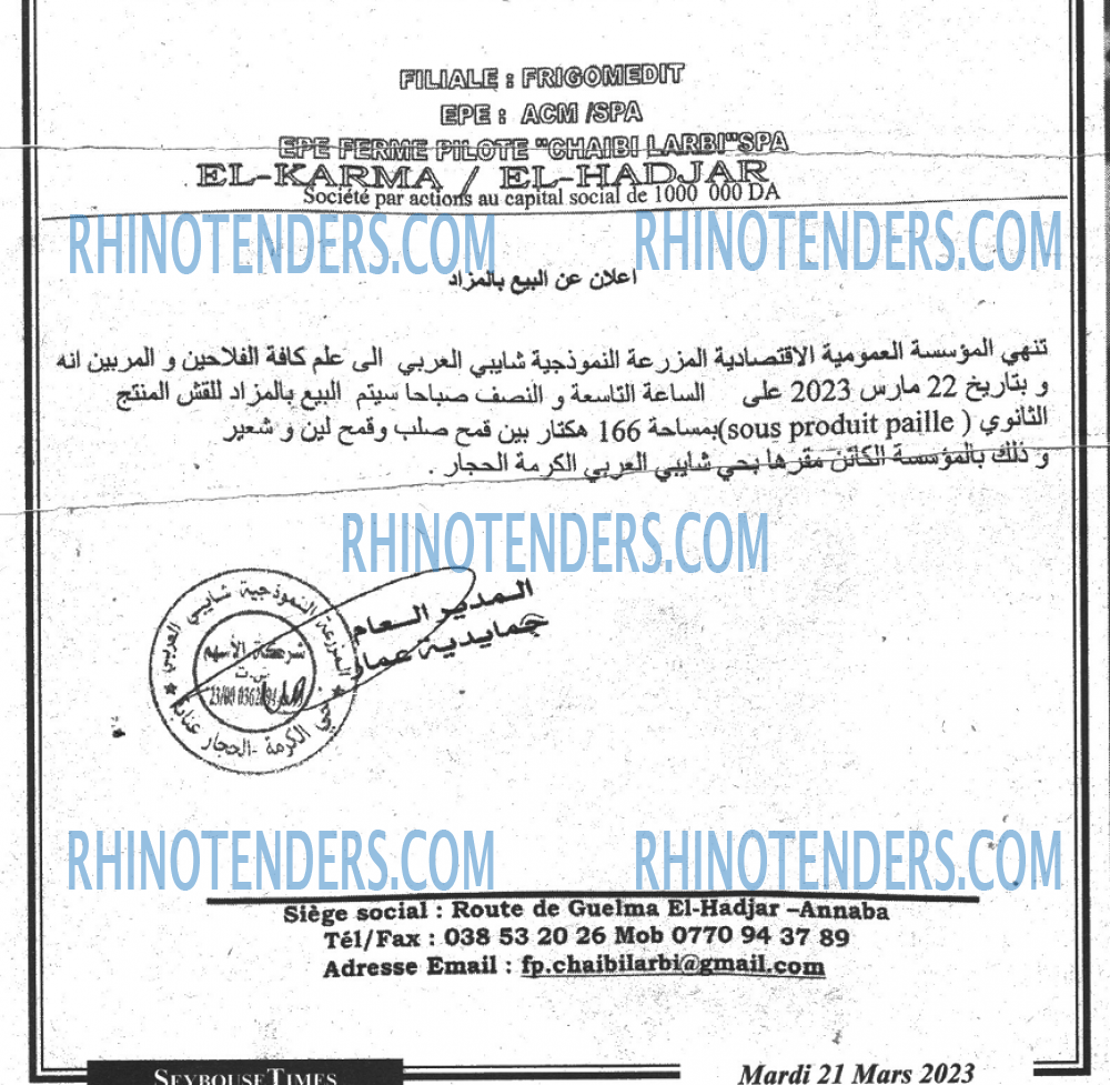 SEYBOUSSE TIMES