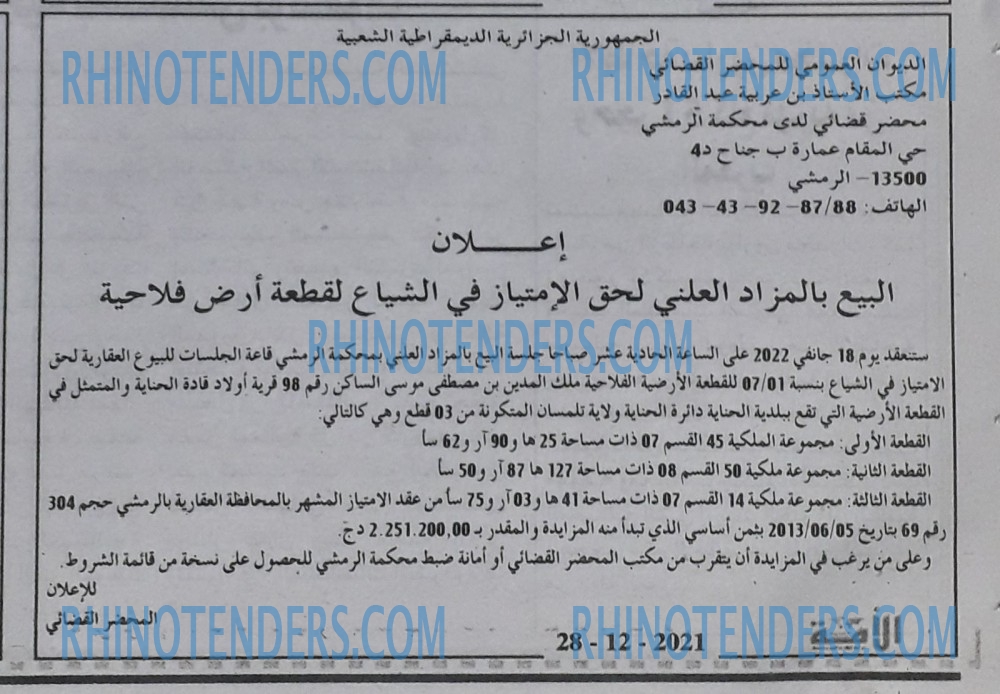 الأمة